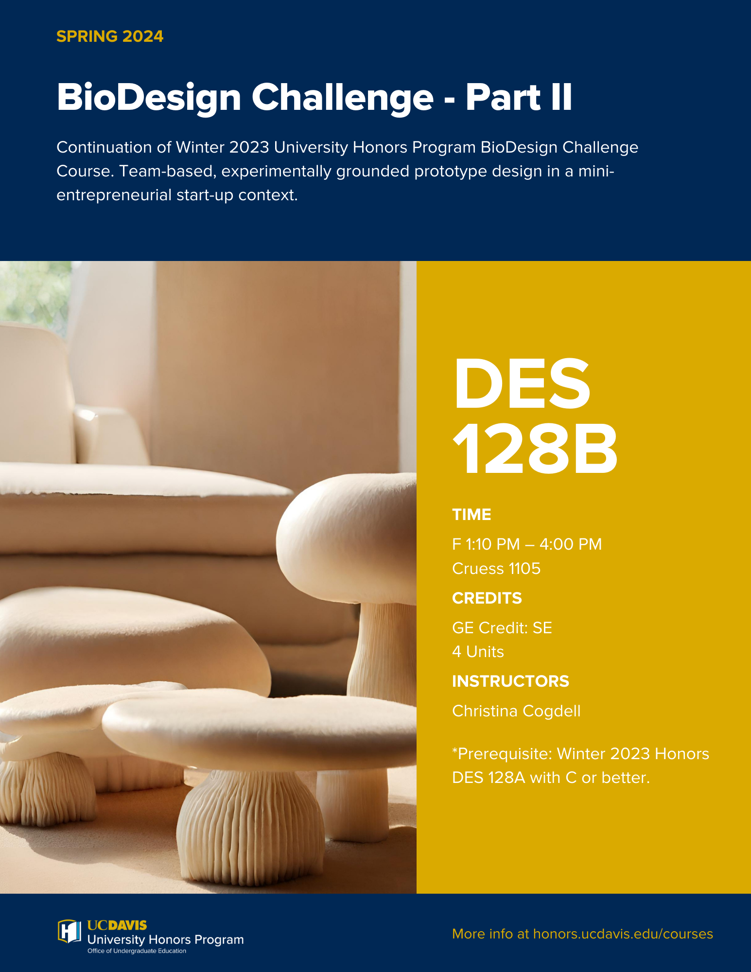 University Honors Program - Spring 2024 Courses