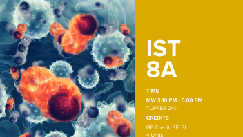 IST 8A