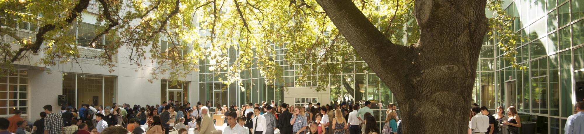 Regent Scholars Society Welcome Event